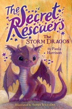 portada The Storm Dragon (The Secret Rescuers) (in English)