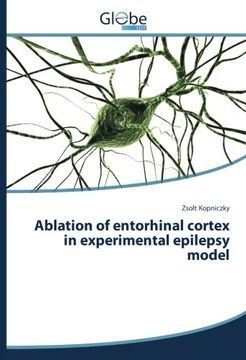 portada Ablation of entorhinal cortex in experimental epilepsy model