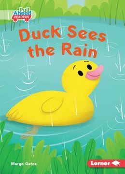 portada Duck Sees the Rain (en Inglés)