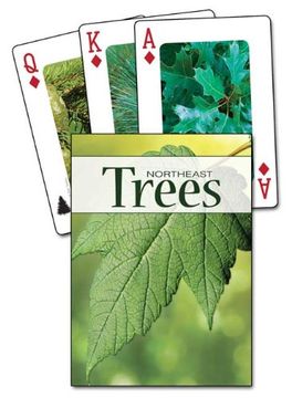 portada Trees of the Northeast Playing Cards (Nature's Wild Cards) (in English)