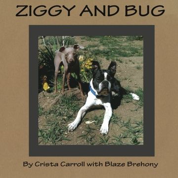 portada Ziggy and Bug