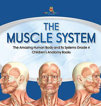 portada The Muscle System | the Amazing Human Body and its Systems Grade 4 | Children'S Anatomy Books (en Inglés)