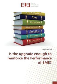 portada Is the upgrade enough to reinforce the Performance of SME?