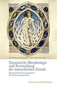 portada Dynamische Morphologie und Entwicklung der Menschlichen Gestalt: Spirituelle Schulungsmotive für Physiotherapeuten (in German)