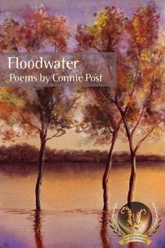 portada Floodwater (en Inglés)