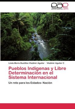 portada Pueblos Indigenas y Libre Determinación en el Sistema Internacional: Un Reto Para los Estados- Nación