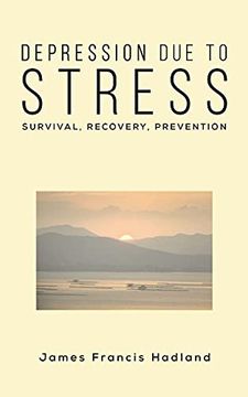 portada Depression due to Stress (in English)