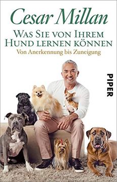 portada Was sie von Ihrem Hund Lernen Können: Von Anerkennung bis Zuneigung (en Alemán)