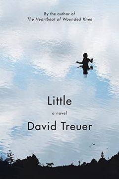 portada Little: A Novel (in English)