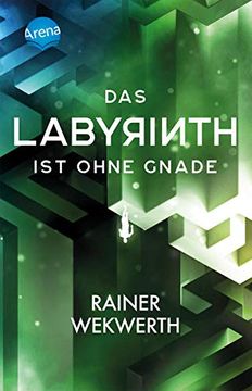 portada Das Labyrinth (3). Das Labyrinth ist Ohne Gnade: Actiongeladene Mysteryserie ab 12 Jahren (Labyrinth-Trilogie) (en Alemán)