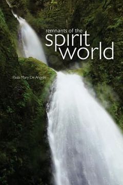 portada Remnants of the Spirit World (en Inglés)