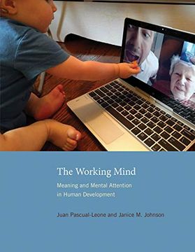 portada The Working Mind: Meaning and Mental Attention in Human Development (in English)