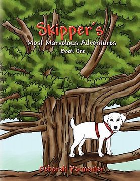 portada skipper's most marvelous adventures book one (en Inglés)