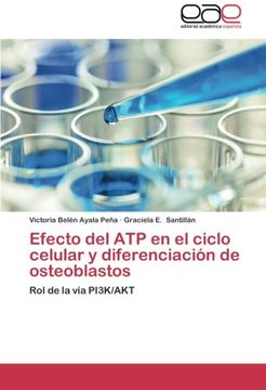 portada Efecto del ATP en el ciclo celular y diferenciación de osteoblastos: Rol de la vía PI3K/AKT