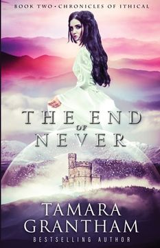 portada The End of Never (in English)