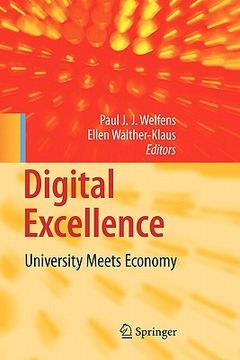 portada digital excellence: university meets economy (en Inglés)