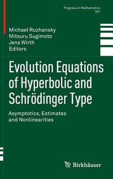 portada evolution equations of hyperbolic and schrodinger type (en Inglés)