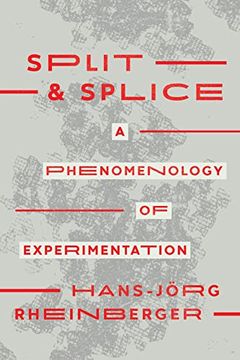portada Split and Splice: A Phenomenology of Experimentation (in English)