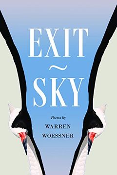 portada Exit-Sky (en Inglés)