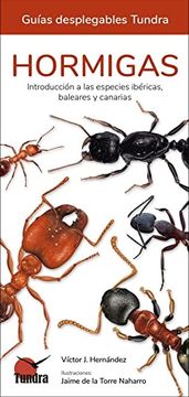 portada Hormigas - Guias Desplegables Tundra