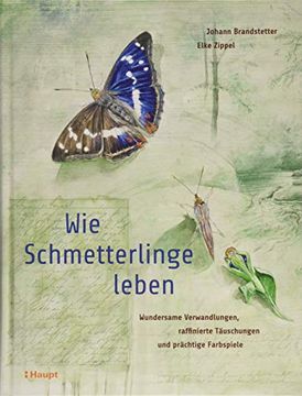 portada Wie Schmetterlinge Leben: Wundersame Verwandlungen, Raffinierte Täuschungen und Prächtige Farbspiele (in German)