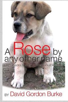 portada A Rose by Any Other Name: Life Lessons from an Unremarkable Dog (en Inglés)