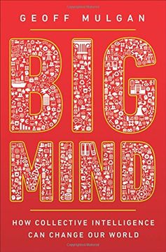 portada Big Mind: How Collective Intelligence Can Change Our World