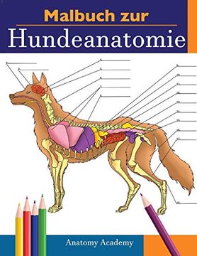 portada Malbuch zur Hundeanatomie: Unglaublich Detailliertes Arbeitsbuch Über Hundeanatomie in Farbe zum Selbsttest | Perfektes Geschenk für Tiermedizinstudenten, Hundefreunde und Erwachsene (en Alemán)