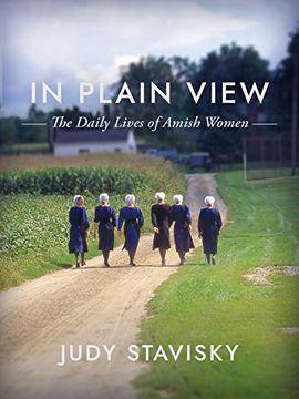 portada In Plain View: The Daily Lives of Amish Women (in English)