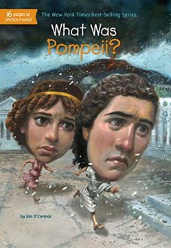 portada What was Pompeii? (en Inglés)