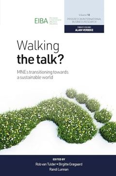 portada Walking the Talk?: Mnes Transitioning Towards a Sustainable World (en Inglés)