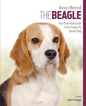 portada Beagle: Best of Breed