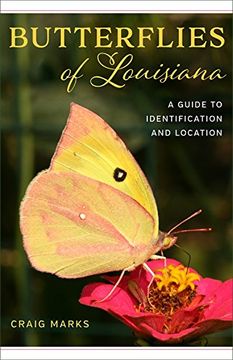 portada Butterflies of Louisiana: A Guide to Identification and Location (en Inglés)