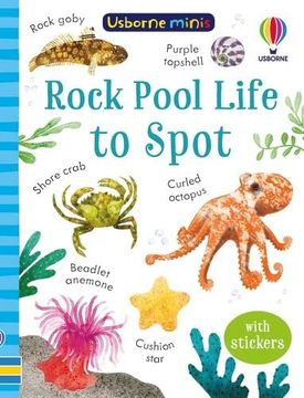 portada Rock Pool Life to Spot (en Inglés)