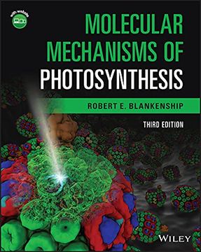 portada Molecular Mechanisms of Photosynthesis (en Inglés)