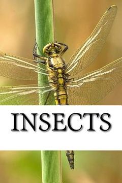 portada Insects (en Inglés)