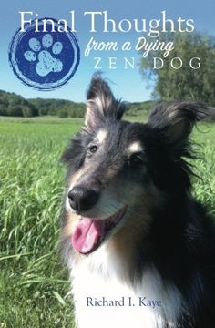 portada Final Thoughts From A Dying Zen Dog