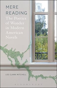 portada Mere Reading: The Poetics of Wonder in Modern American Novels