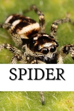 portada Spider (en Inglés)