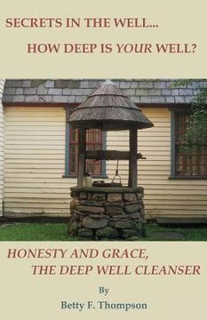portada Secrets in the Well... How Deep Is Your Well? - Honesty and Grace, the Deep Well Cleanser (in English)