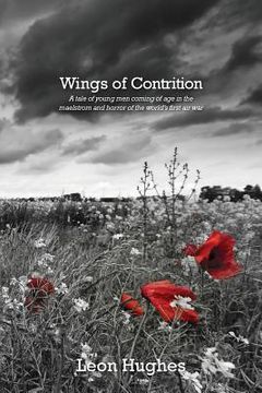 portada Wings of contrition: A tale of young men coming of age in the maelstrom and horror of the world's first air war (en Inglés)