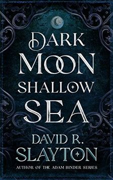portada Dark Moon, Shallow Sea (in English)