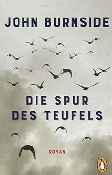 portada Die Spur des Teufels: Roman (in German)