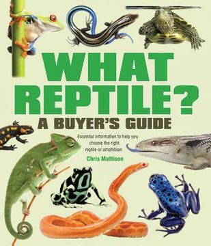 portada what reptile?: a buyer's guide (en Inglés)