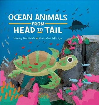 portada Ocean Animals From Head to Tail (en Inglés)