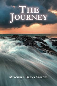 portada The Journey: A Family's Firsthand ALS Account