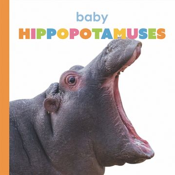portada Baby Hippopotamuses (en Inglés)