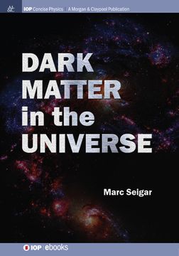 portada Dark Matter in the Universe (en Inglés)
