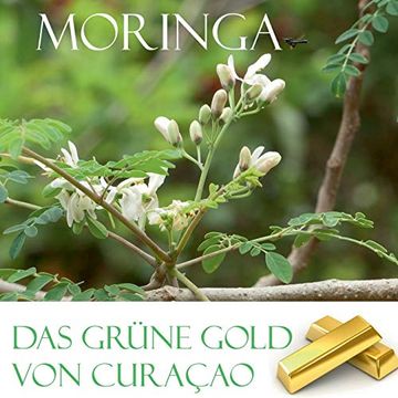 portada Das Grüne Gold von Curacao: Moringa (en Alemán)