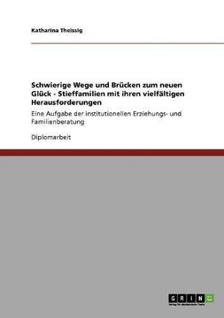 portada Schwierige Wege und Brücken zum neuen Glück. Stieffamilien und ihre vielfältigen Herausforderungen (German Edition)
